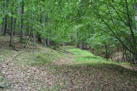 20 HIGH VALLEY SOUTH, MONTEREY, VA 24465