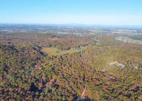 TBD CALF MOUNTAIN RD, WAYNESBORO, VA 22980