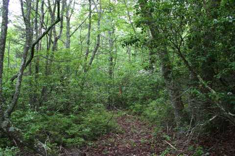 Lot 90 SUMMIT DR, MONTEREY, VA 24465