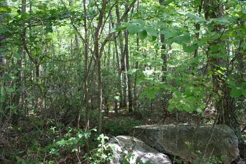 Lot 49 S HIGH VALLEY DR, MONTEREY, VA 24465