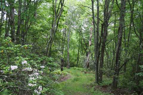 Lot 92 SUMMIT DR, MONTEREY, VA 24465