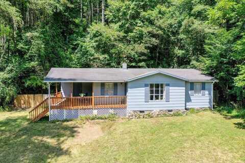 2063 PEDLAR RIVER RD, VESUVIUS, VA 24483