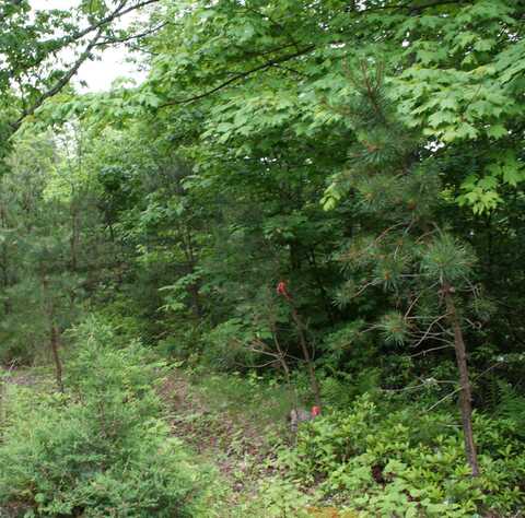 lot 93 SUMMIT DR, MONTEREY, VA 24465