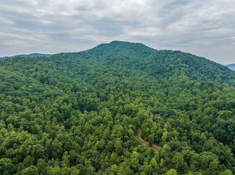 0 PILOT MOUNTAIN HOLLOW, FABER, VA 22938