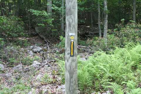 HIGH VALLEY SOUTH, MONTEREY, VA 24465