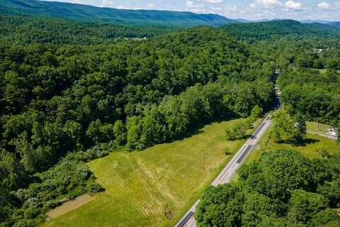 TBD LITTLE CALF PASTURE HWY, SWOOPE, VA 24479