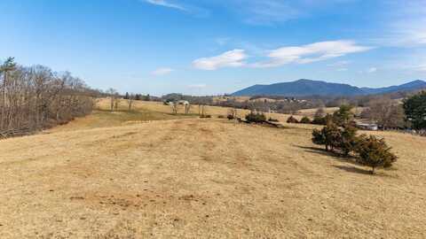 32.31 ac. N LEE HWY, RAPHINE, VA 24472