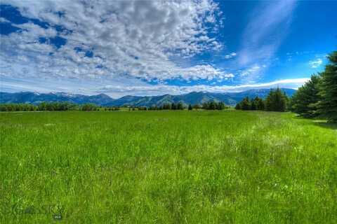 42 Wavy Leaf, Bozeman, MT 59718