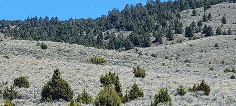 Tract 1c-5 Sofindigo Trail, Virginia City, MT 59729