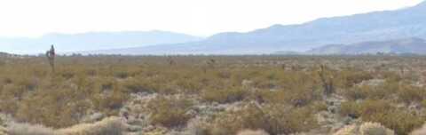 5 Ac Howard St South Of Sopp, Rosamond, CA 93560