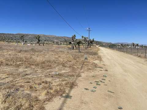 Hillview Lane & Fort Tejon Road, Pearblossom, CA 93553