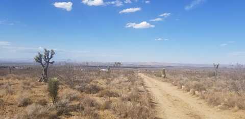 175th Street East, Llano, CA 93544