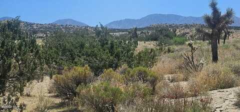 Avenue X / 136th St E, Pearblossom, CA 93553