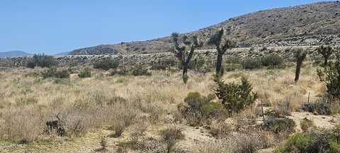 Avenue X / 136th St E, Pearblossom, CA 93553