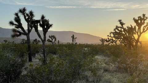 Vac/Llano Cut Off/Vic 180 St E, Palmdale, CA 93591