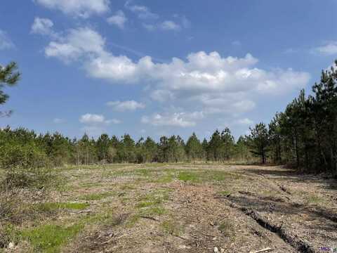 Tract 14 LORIN WALL RD, Holden, LA 70774