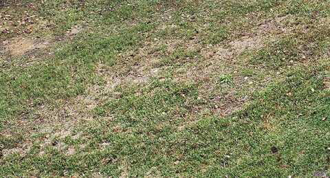 Lot 68 A&b El Scott Ave, Baton Rouge, LA 70811