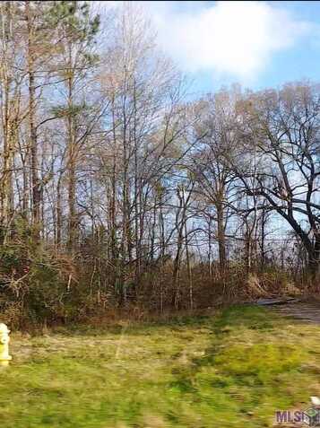 Lot 52-a&b El Scott Ave, Baton Rouge, LA 70811