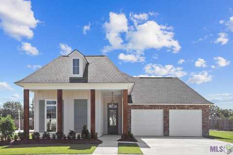 38217 Meadow Rue Dr, Prairieville, LA 70769