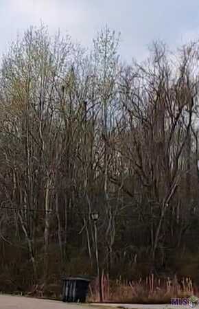 Lot 91 Rosario Dr, Baton Rouge, LA 70811