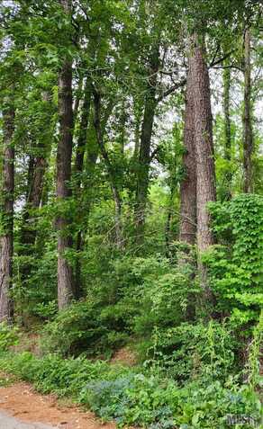 Lot 85 Baker Dr, Denham Springs, LA 70726