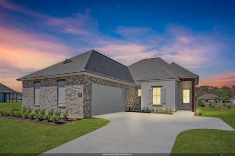 21489 Bluefin Dr, Springfield, LA 70462