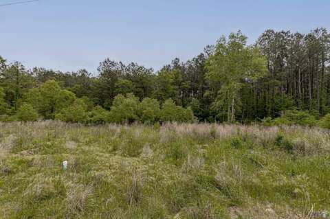 Lot 5-B TEXAS ST, Livingston, LA 70754