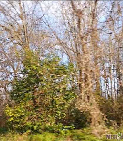 Lot 50-a El Scott Ave, Baton Rouge, LA 70811