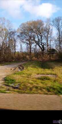Lot 35-a&b El Scott Ave, Baton Rouge, LA 70811