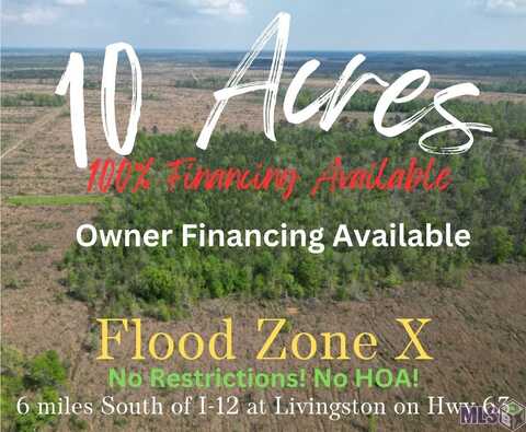 10 Acres La Hwy 63, Livingston, LA 70754