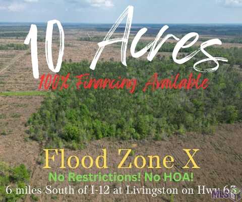 10 acres LA HWY 63, Livingston, LA 70754