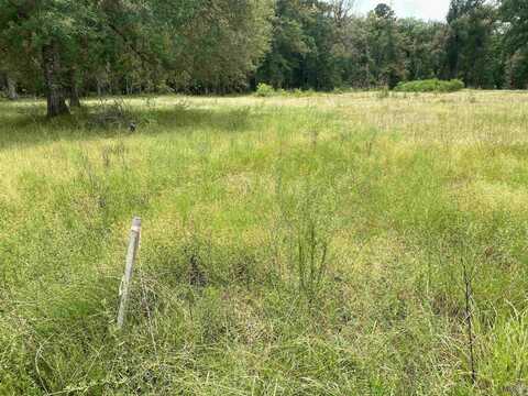 28423 COKER VAIL RD, Holden, LA 70744