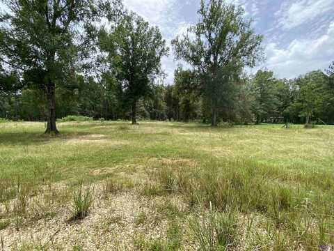 28412 COKER VAIL RD, Holden, LA 70744