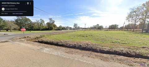 40531 Old Hickory Ave, Gonzales, LA 70737