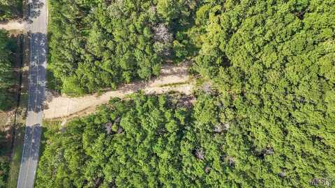 14383 Springfield Rd, Walker, LA 70785