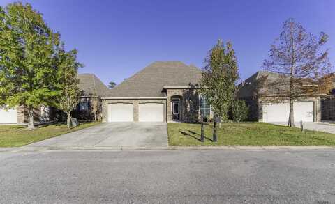 25392 Lake George Dr, Denham Springs, LA 70726