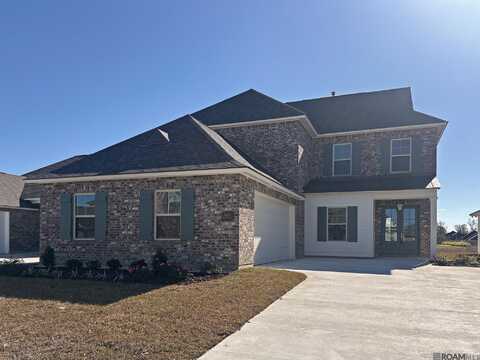 36257 Belle Crique Ave, Geismar, LA 70734