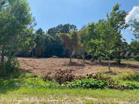 18383 AMITE ACRES DR, Prairieville, LA 70769