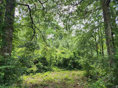 Tbd Donald St, Denham Springs, LA 70726