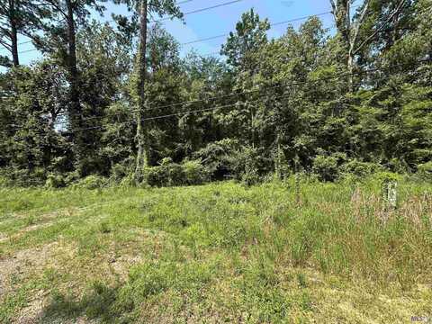 1-A-1 LA 1036 Highway, Holden, LA 70744