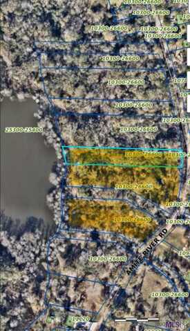 0 AMITE RIVER RD, Baton Rouge, LA 70817