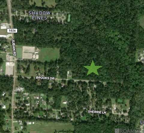 Brooks Dr, Denham Springs, LA 70726