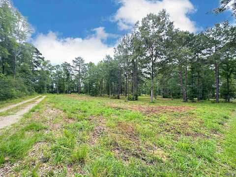Andrews Ln, Clinton, LA 70722