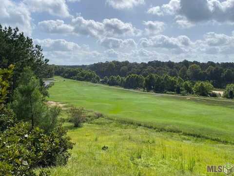 14171 Audubon Trace, Saint Francisville, LA 70775