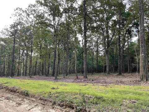 8105 HEPZIBAH RD, Clinton, LA 70722