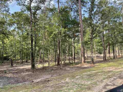 8083 HEPZIBAH RD, Clinton, LA 70722