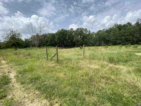 28273 COKER VAIL RD, Holden, LA 70744