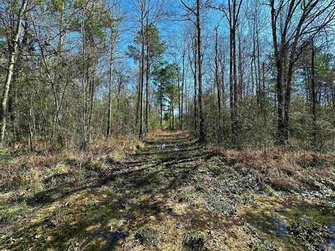 D-4-a Stella Ln, Walker, LA 70785