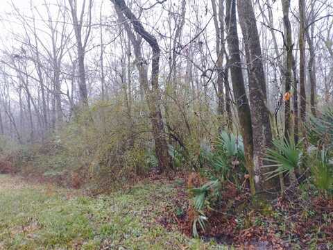 Tbd Ridgewood Dr, Baton Rouge, LA 70814