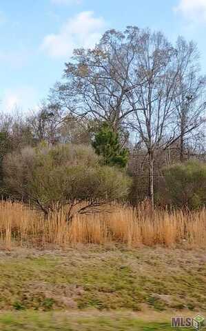 Lot 18 A&b El Scott Ave, Baton Rouge, LA 70811